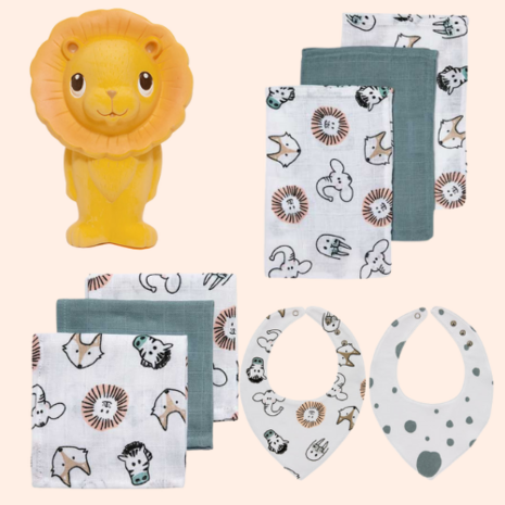 Baby Cadeaubox Leeuw