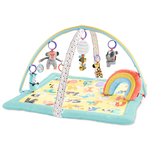 Skip Hop ABC &amp; Me Activity Gym