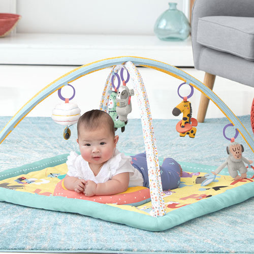 Skip Hop ABC &amp; Me Activity Gym