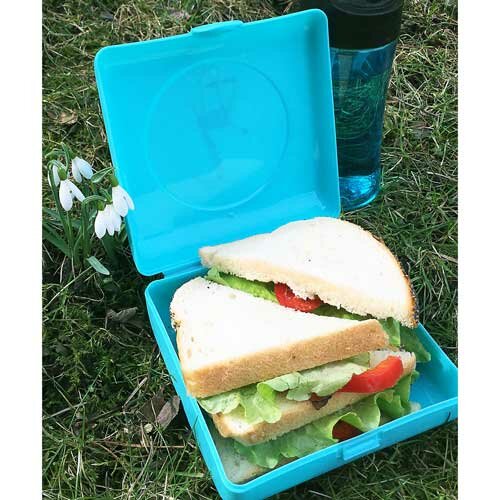 Carl Oscar Sandwich Box Kids Grijs