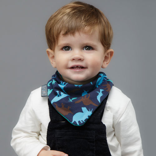 Cheeky Chompers Dino &amp; Stripes Neckerbibs - Set van 2