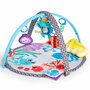 Baby Einstein Sea Friends Speelkleed