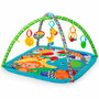 Bright Starts Classic Zippity Zoo Activity Gym Speelkleed