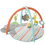 Bright Starts Hug-n-Cuddle Elephant Activity Gym Speelkleed