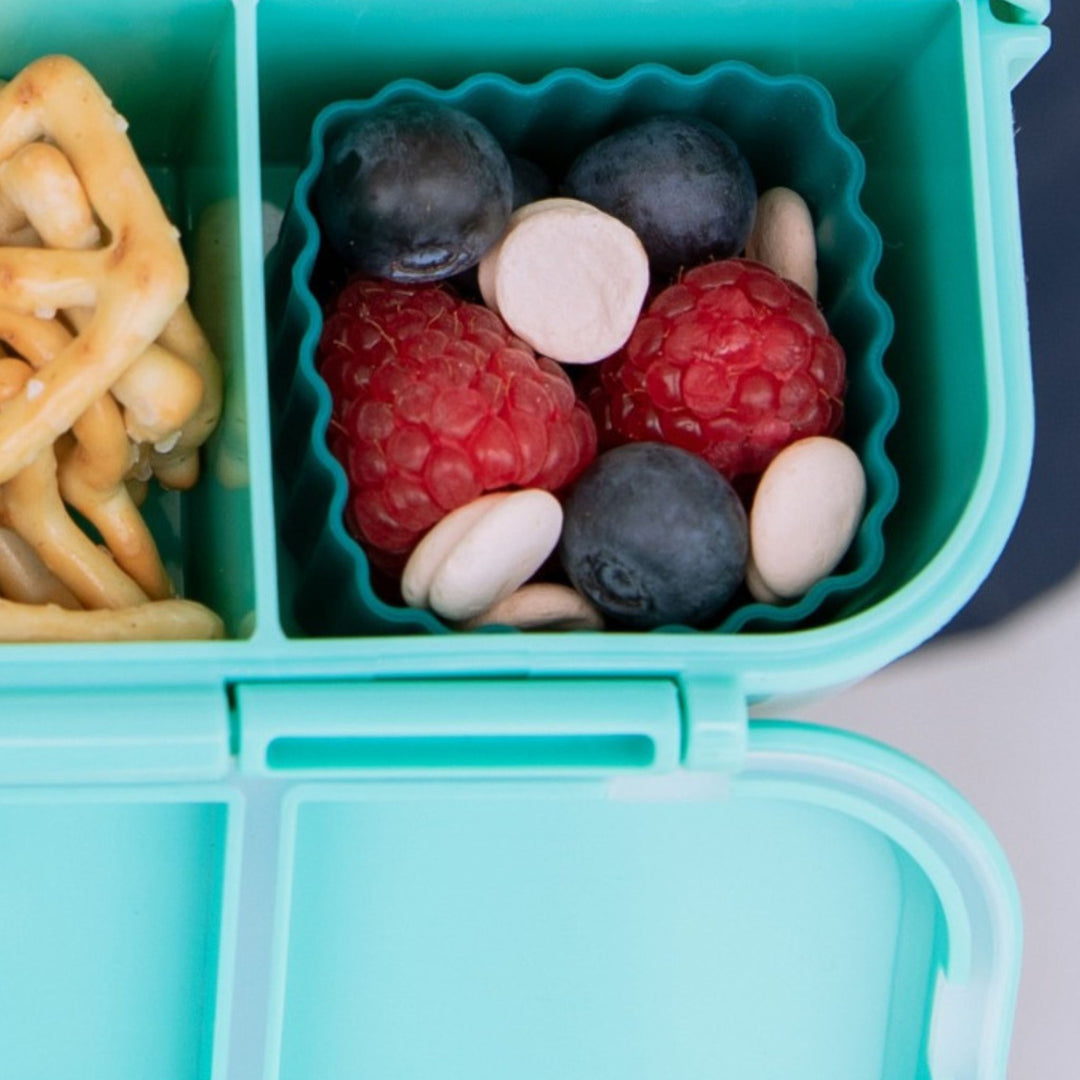 MontiiCo Bento Siliconen Vormpjes-Pine