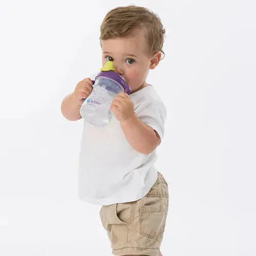 b.box Spout Cup Grape 4m+ - Tiny Giggles