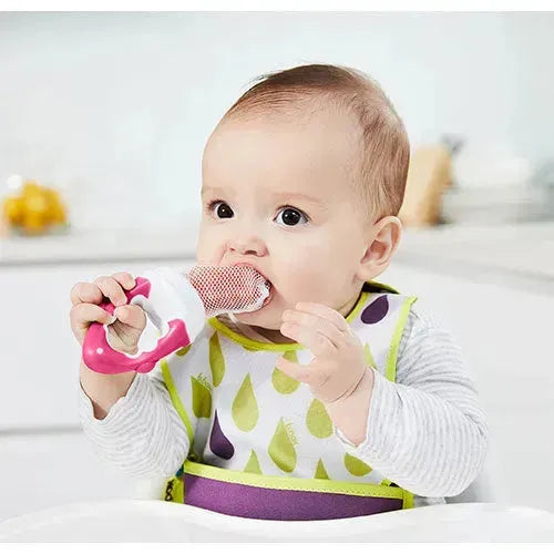 b.box Fresh Food Feeder Raspberry 4m+ - Tiny Giggles