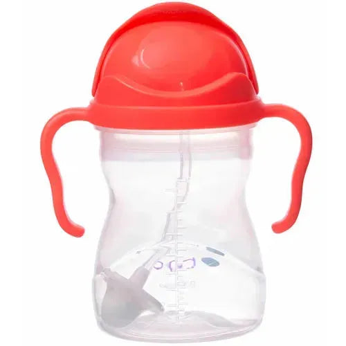 b.box Sippy Cup Watermelon 6m+ - Tiny Giggles