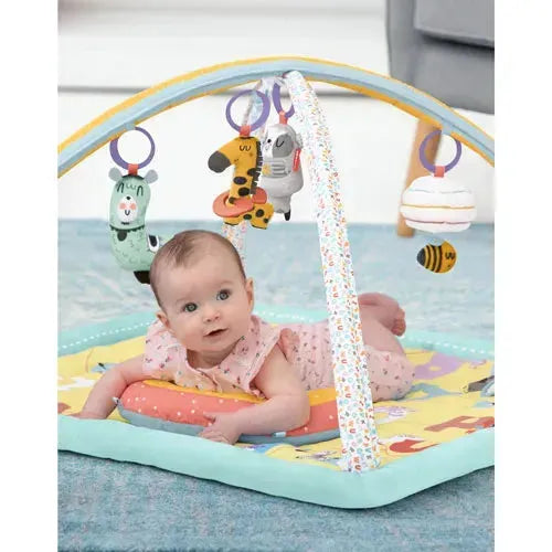 Skip Hop ABC & Me Activity Gym - Tiny Giggles