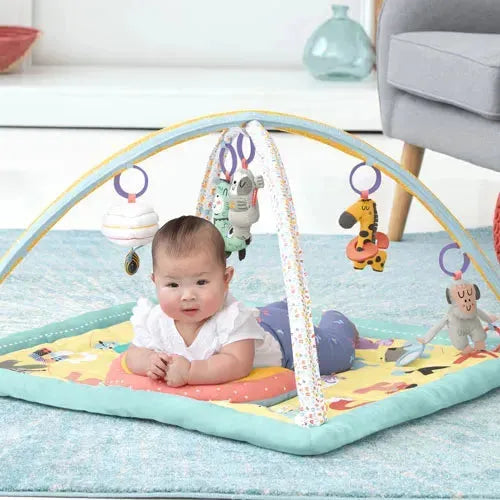 Skip Hop ABC & Me Activity Gym - Tiny Giggles