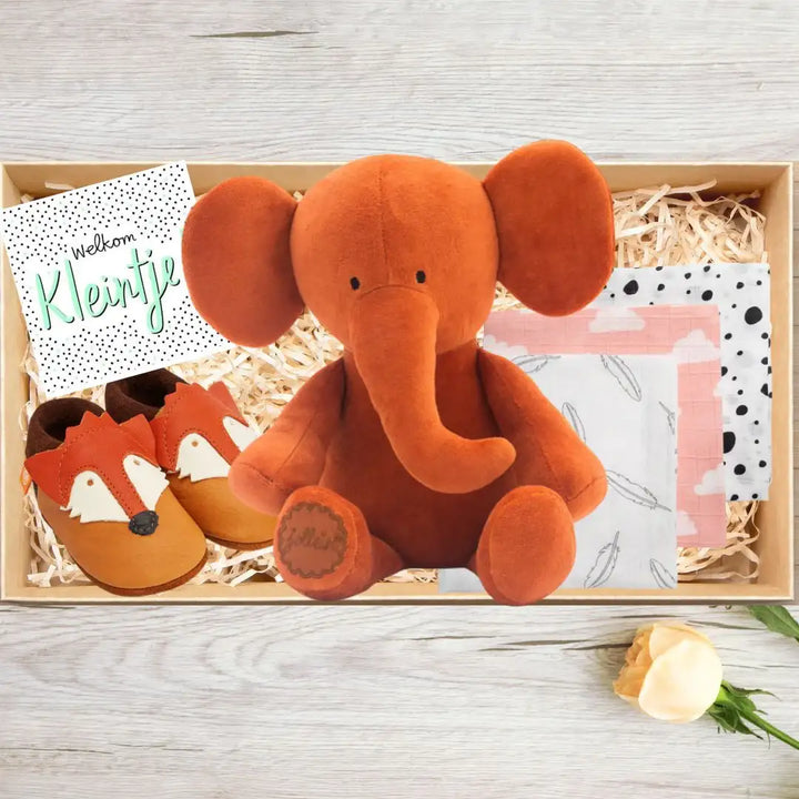 Cadeaubox samenstellen Kraamcadeau XL