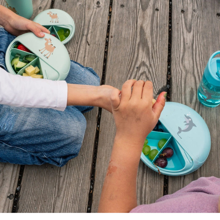 Carl Oscar SnackDisc Blauw Dolfijn